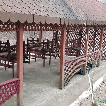 Pensiunea Lucica Sacelu Dış mekan fotoğraf