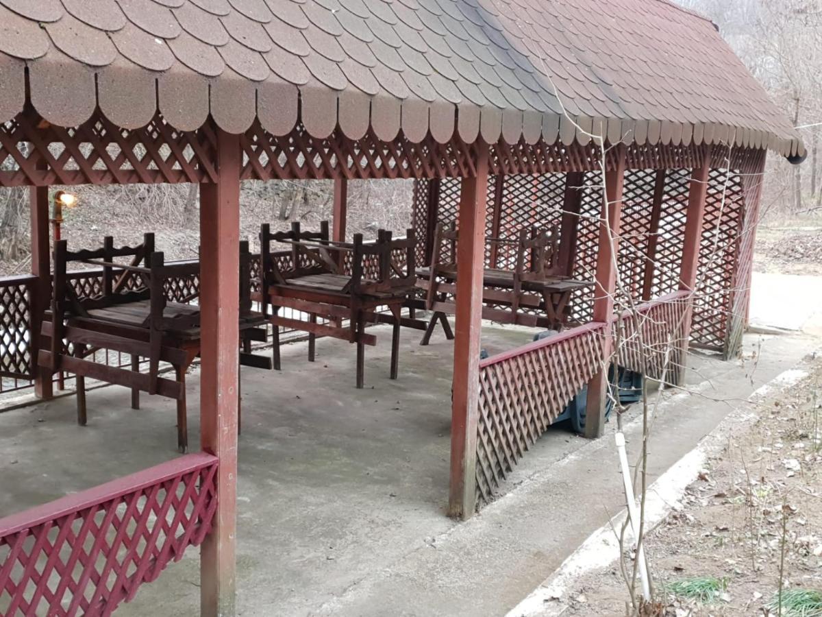 Pensiunea Lucica Sacelu Dış mekan fotoğraf