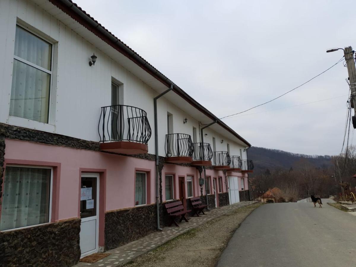 Pensiunea Lucica Sacelu Dış mekan fotoğraf