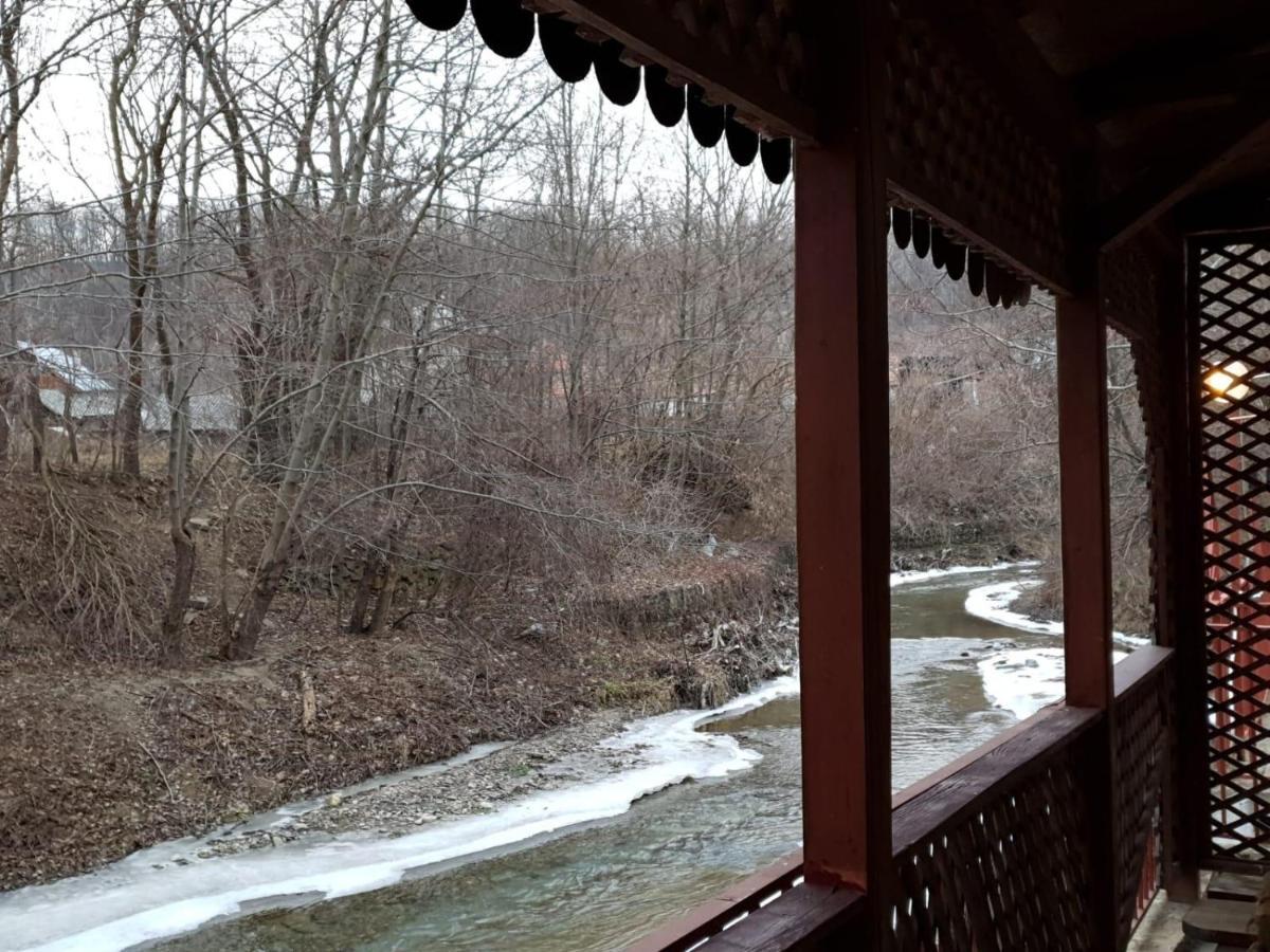 Pensiunea Lucica Sacelu Dış mekan fotoğraf