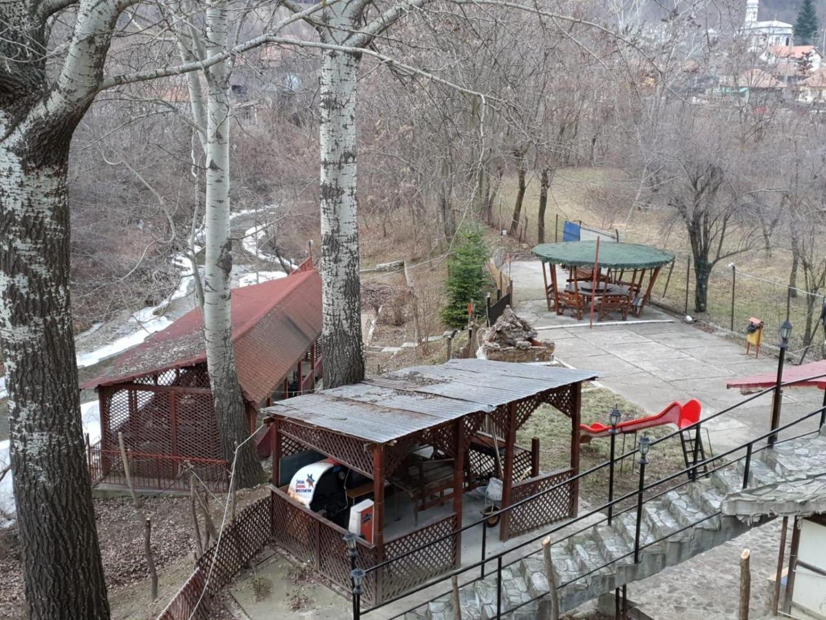 Pensiunea Lucica Sacelu Dış mekan fotoğraf