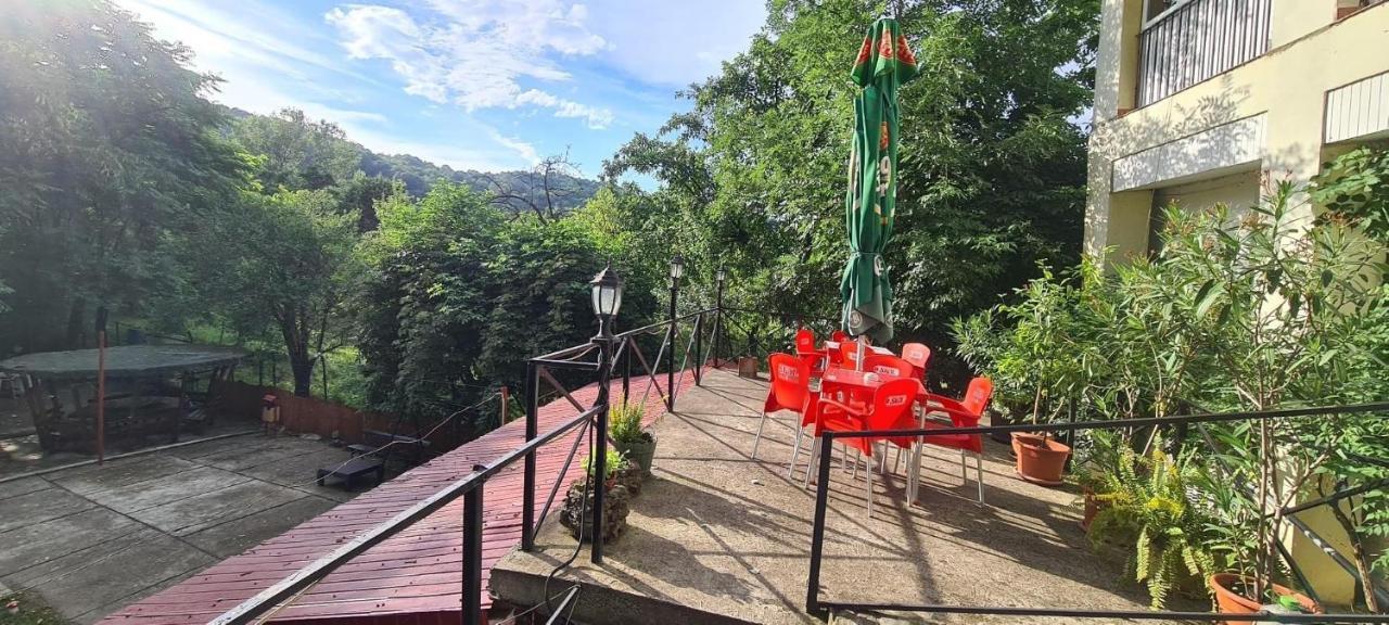 Pensiunea Lucica Sacelu Dış mekan fotoğraf